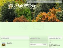 Tablet Screenshot of giandriale.com